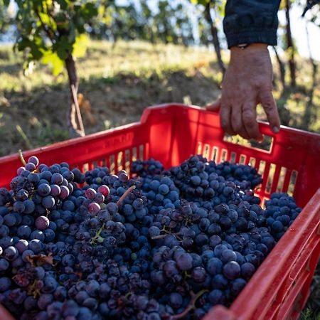 Agriturismo Antichi Poderi Gallina 内维 外观 照片