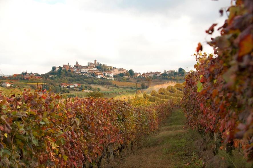 Agriturismo Antichi Poderi Gallina 内维 外观 照片