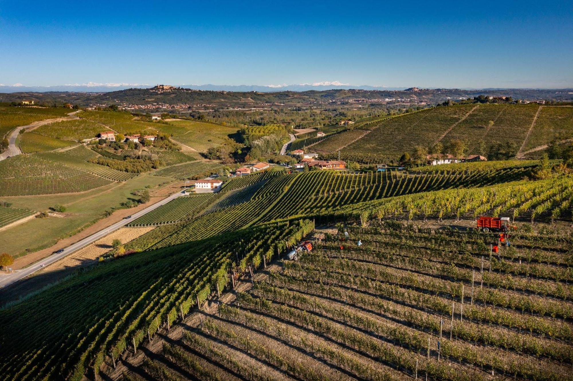 Agriturismo Antichi Poderi Gallina 内维 外观 照片
